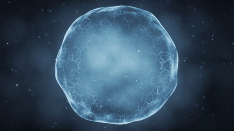 北京生物试剂运输：揭秘安全高效的关键要素**