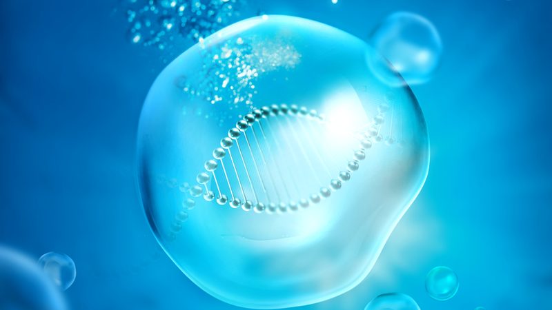 细胞培养基配方，揭秘其背后的科学奥秘**