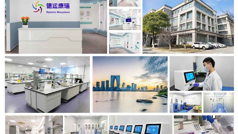 生物医药原核表达系统蛋白代工：揭秘其核心工艺与选择要点**
