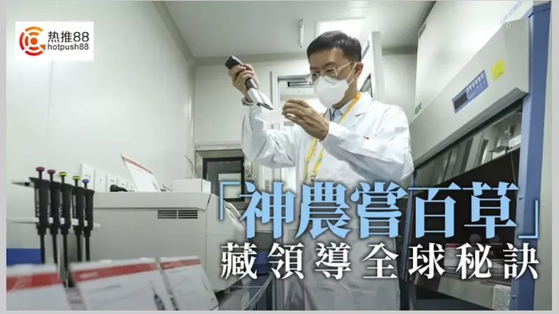细胞培养，从入门到精通：步骤详解与关键要点**