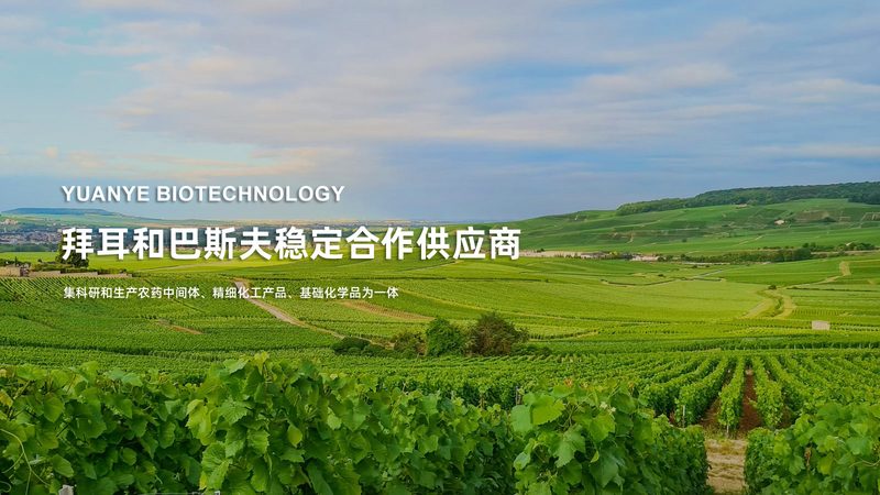 医用实时荧光PCR分析仪：精准检测的利器**