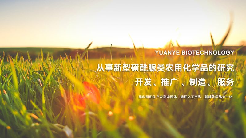医用实验室耗材质量检测方法：关键环节与标准解读