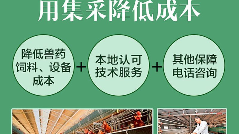 酶制剂：广州地区引领生物科技发展的重要力量**