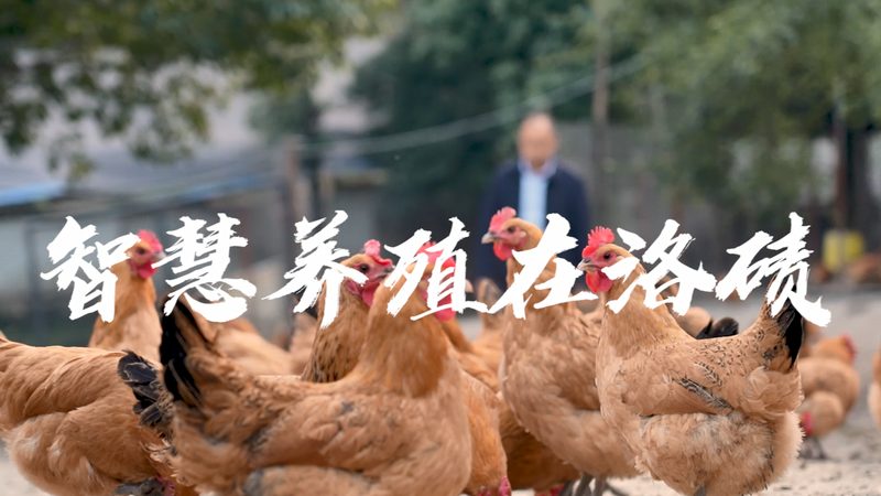 离心管规格解析：从0.5ml到50ml型号的奥秘**