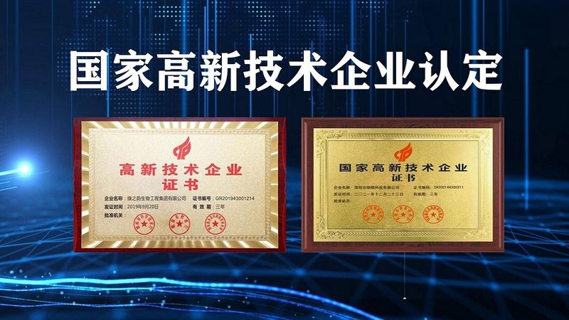 CDMO定制研发一站式服务：医药创新背后的力量