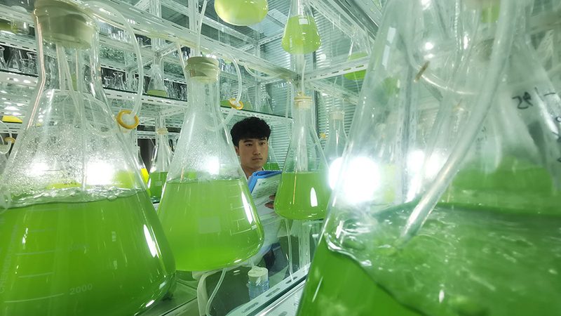 细胞培养基：揭秘优质生产厂家的关键要素
